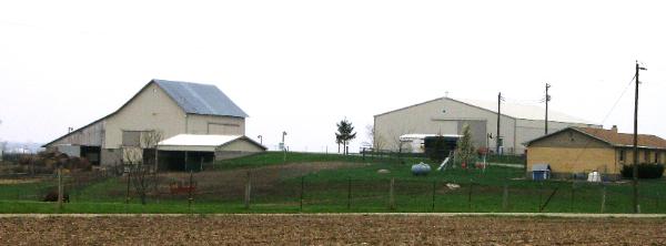 Barn Schedule